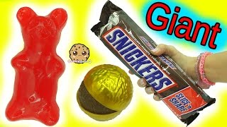 Biggest Candy Bars Ever! Giant Candy , Big Gummy Bear,  Chocolate Food Haul Video