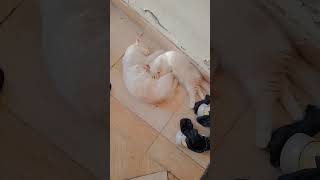 Sleeping Mother And Daughter