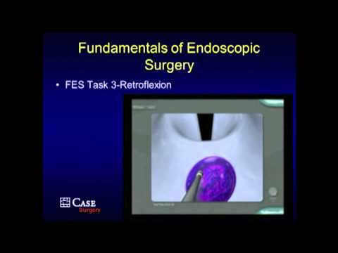 PG Course: Fundamentals of Endoscopic Surgery (FES) - Hands-on Modules