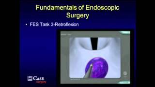 PG Course: Fundamentals of Endoscopic Surgery (FES) - Hands-on Modules