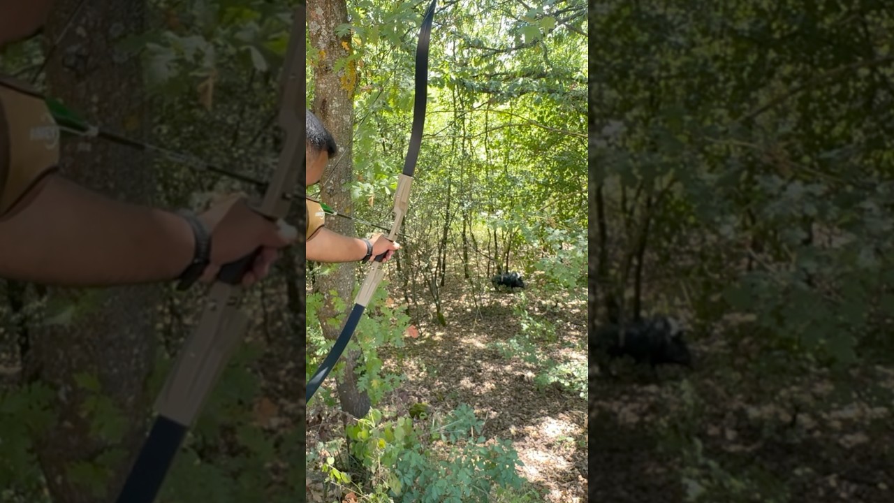 T-Bow Recurve BOW 55 LBS Wildboar 
