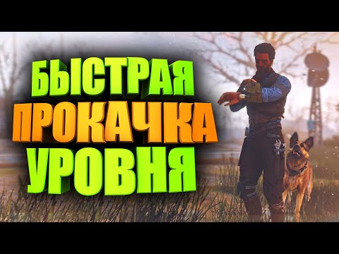 Видео: БЫСТРАЯ ПРОКАЧКА, КАК ПОЛУЧАТЬ МНОГО ОПЫТА ► FALLOUT 76