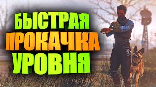 БЫСТРАЯ ПРОКАЧКА, КАК ПОЛУЧАТЬ МНОГО ОПЫТА ► FALLOUT 76