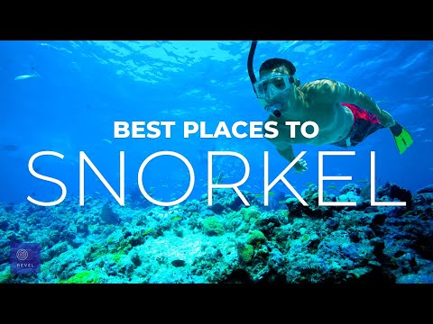 Video: 4 Tempat Terbaik Untuk Snorkel Di Amerika Serikat