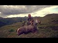 Stone Sheep Hunt in British Columbia: Marathon of Dreams