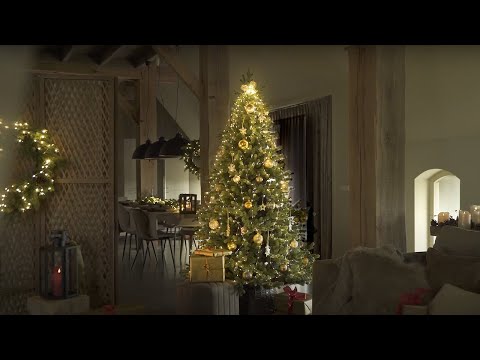 Vidéo: Comment Faire Un Sapin De Noël Sur Le Mur à Partir De Guirlandes
