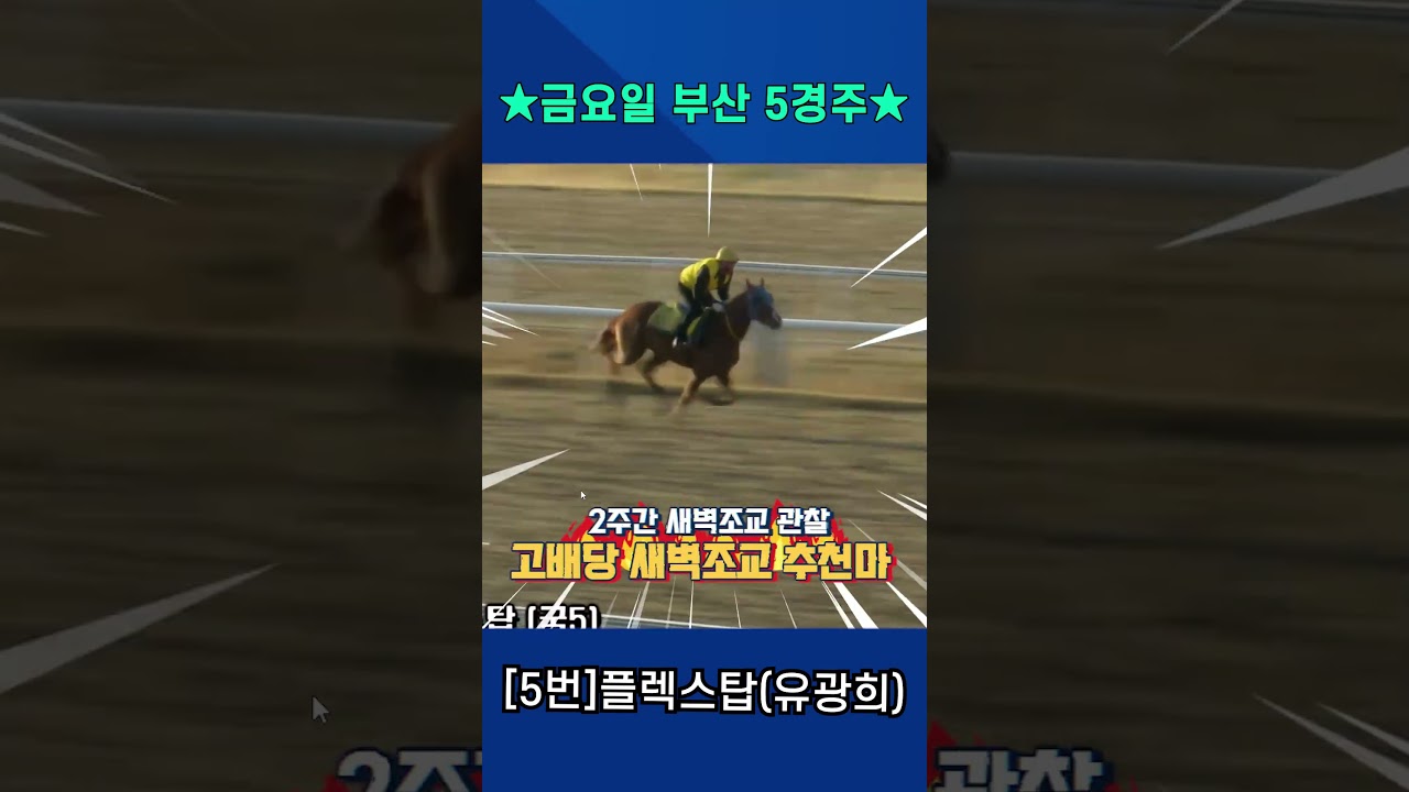 4월10일 금요일 부산 5경주!! 2주간 훈련보인 강백호의 새벽조교 쏘스마!!