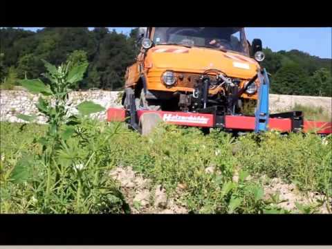 Hacken der Süßlupinen vom Biohof Lecker