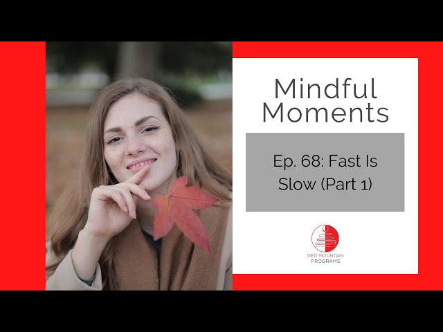 Mindful Moments Ep. 68: Fast Is Slow (Part 1)