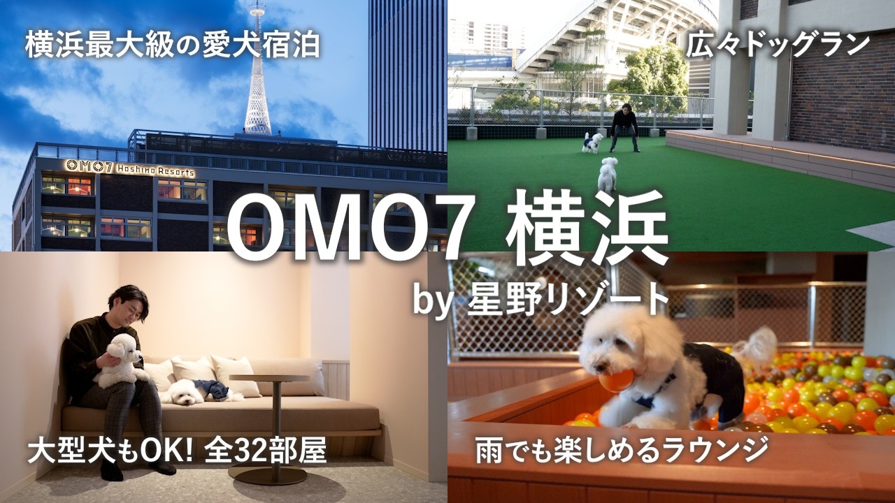 【星野リゾート】愛犬と泊まれるホテル『OMO7横浜』を徹底紹介します！