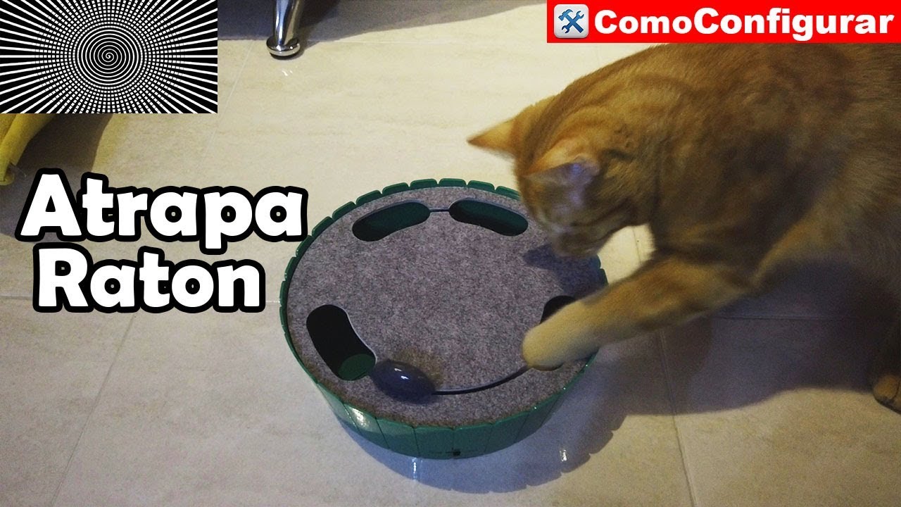 Juguete Atrapa el Raton Para Gatos Interactivo - Accesorios para gatos ...