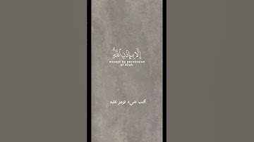 القارئ رعد كردي | اكتب شيء تؤجر عليه