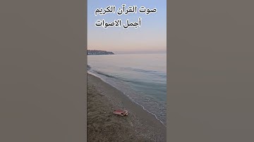 تلاوه خاشعة من القرآن الكريم بصوت جميل للشيخ عبد الرحمن مسعد 🌹🌺 #المصحف #راحة_نفسية #music #اكسبلور