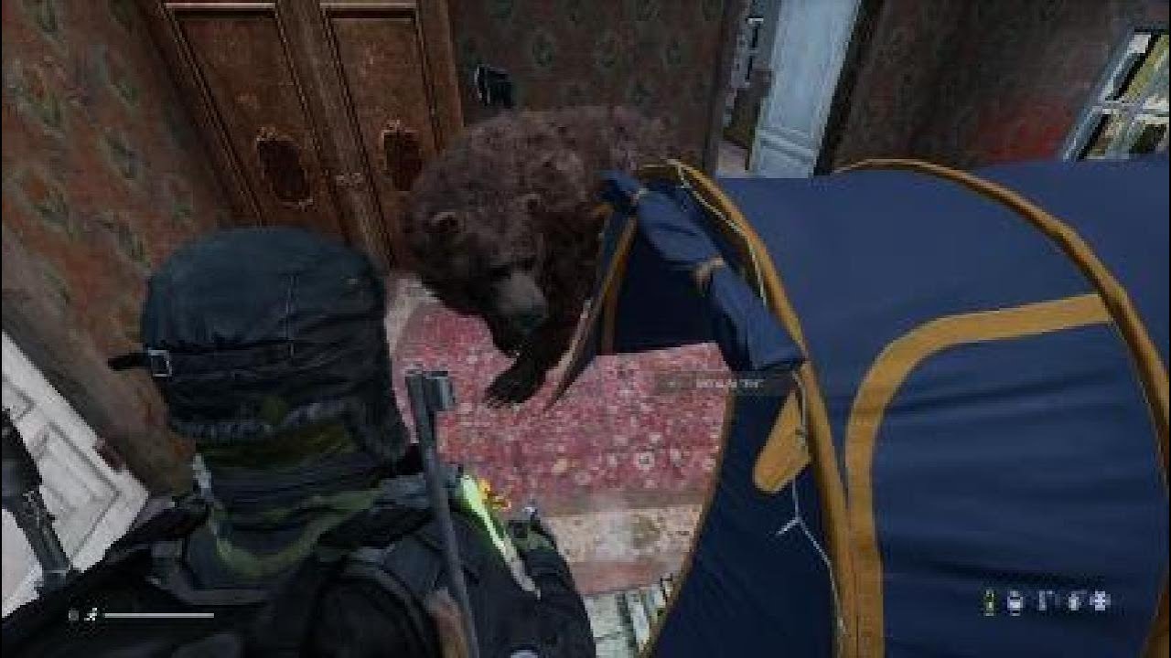 DayZ Why Do Bears Hate Me YouTube dayz-why-do-bears-hate-me-youtube