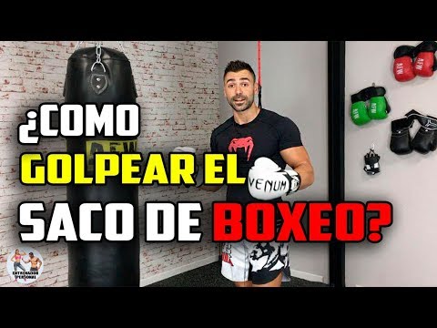 Video: 4 consejos para hacer que tu boxeador deje de cavar