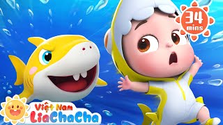 🦈 Baby shark Lia và ChaCha | Em bé cá mập đáng yêu | LiaChaCha Ca Nhạc Thiếu Nhi Việt Nam