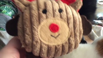 December Kitnipbox unboxing (with the kittycrew)