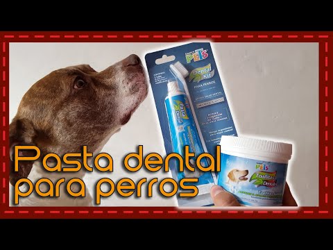 Video: ¿Qué tipo de pasta de dientes funciona en los perros?