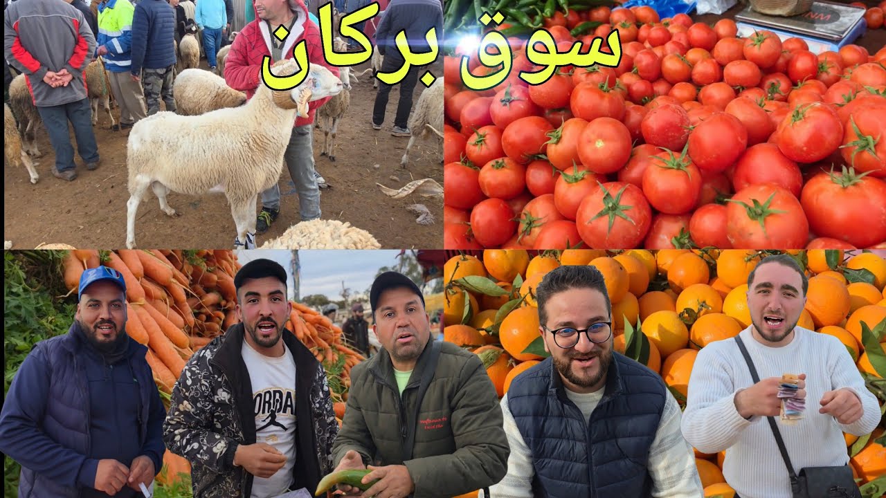 سوق الثلاثاء بركان اليوم 🔥 أسعار الأغنام والدجاج والخضر والفواكه 🇲🇦