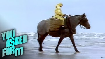 Horseback Shrimp Fishing: A Centuries-Old Tradition in Belgium 🐎🦐 | You Asked For It