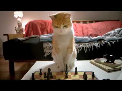 Meetup.com "Chess" Commercial