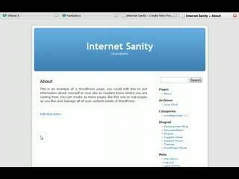 WordPress Basics - Video 2 Posts and Pages