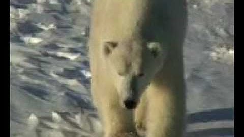 Phoenix Web Design - Video for Website