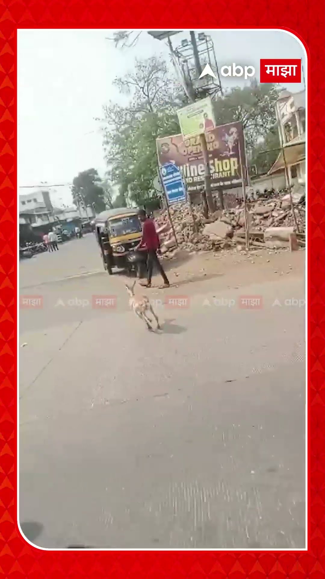 Deer Gondia Viral Video : बाईकपेक्षा वेगवान..जंगलातून रस्ता भरकटलेलं हरीण शिरलं शहरात...