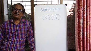 Introdunction to Signal Transformation