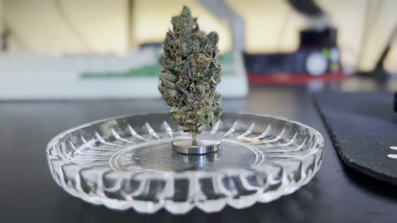 GemmaCert Flower Testing learning the device YouTube