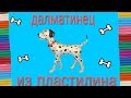 Собака из пластилина. Далматинец