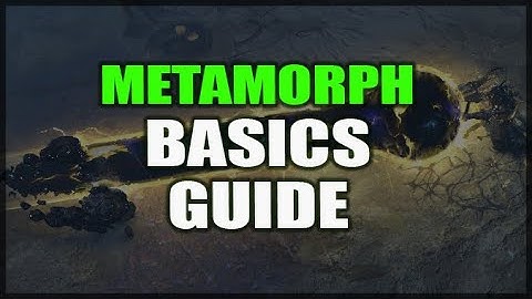 PATH of EXILE: Metamorph Basic Mechanics Guide - How to Not Pickup One Million Organs Needlessly