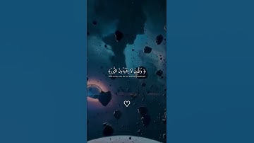 #ارح_قلبك #قران_كريم #تلاوة_خاشعة #لايك #quranismylife #حالات_واتس #راحة_نفسية #تيك_توك #اكسبلور