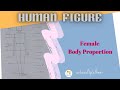 Human figure  female body proportion    humananatomy humandrawing humanstudy femalebodyparts