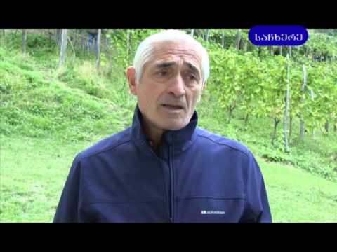 აკაკი წერეთლის მუზეუმში ლიტერატურული და ხატვის კონკურსები გაიმართა