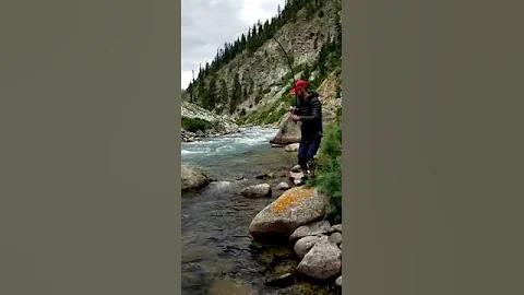 Fish Shikar In Kashmir Pakistan | Tahir Akhunzada