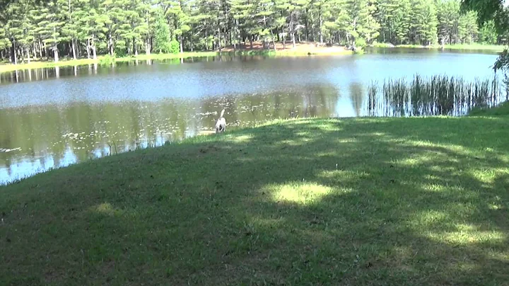 Walter F Pratt Picnic Area