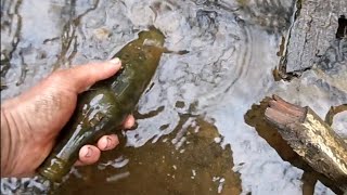 Creek Hunting for Antique Bottles in Gaffney SC