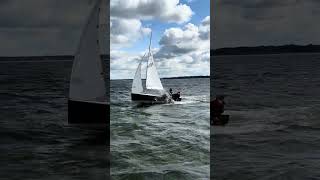 IMG 9612