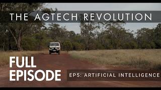 Artificial Intelligence: Farming Smarter with Data