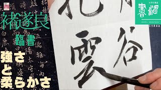 書道 臨書 書き方】 褚遂良・枯樹賦〜線質〜強さと柔らかさ