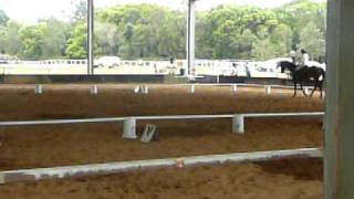 Ndhd Associate Dressage, Freestyle Routine- Lion King Theme