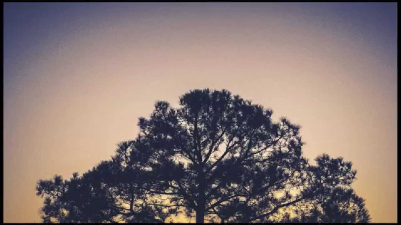 Antti L - Amnesia (Deep House 2015)