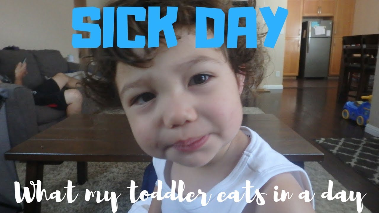 WHAT MY TODDLER EATS IN A DAY SICK TODDLER YouTube
