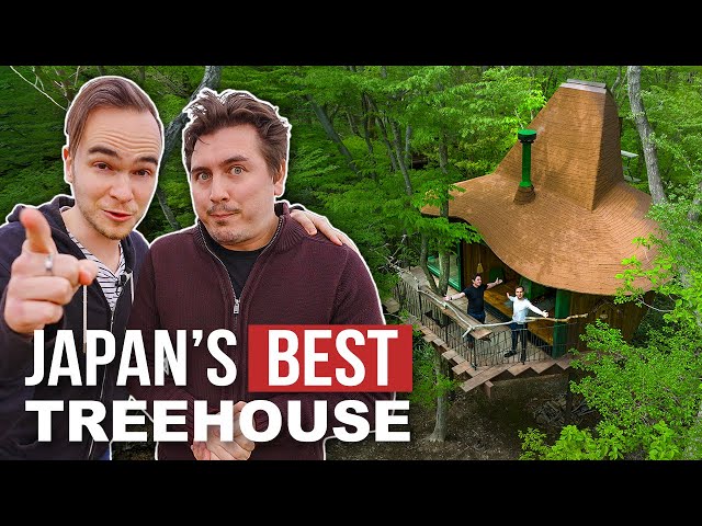 Inside Japan’s Most Expensive Treehouse: Million Dollar Hideaway (feat. @AbroadinJapan)