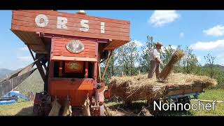 Trebbiatura del grano 2023 Cortemilia (Cn) in 4k                   Frazione La Castella