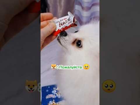 #adventcalander #kinder #адвент #адвенткалендарь #киндер #christmas #сладкиеподарки #newyear