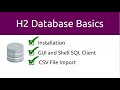 H2 Database Basics