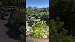 Terraza de la FCAyF UNLP