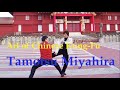 Art of Chinese Kung-Fu / master Tamotsu Miyahira. 宮平保先生